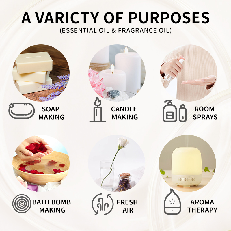 10ML Fragrance Oil Plant Makin - Candle Making Bath review and price