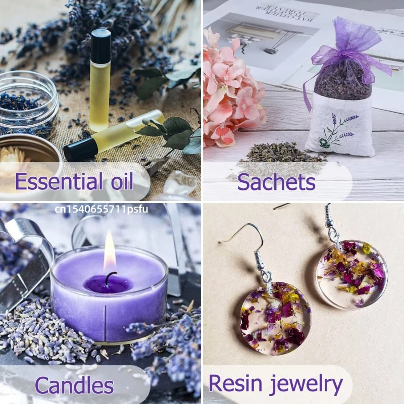 High Quality Natural Dried Flo - Candle Making Bath review and price