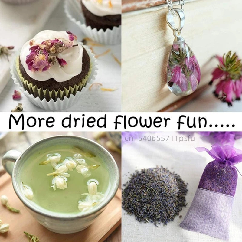 High Quality Natural Dried Flo - Candle Making Bath review and price