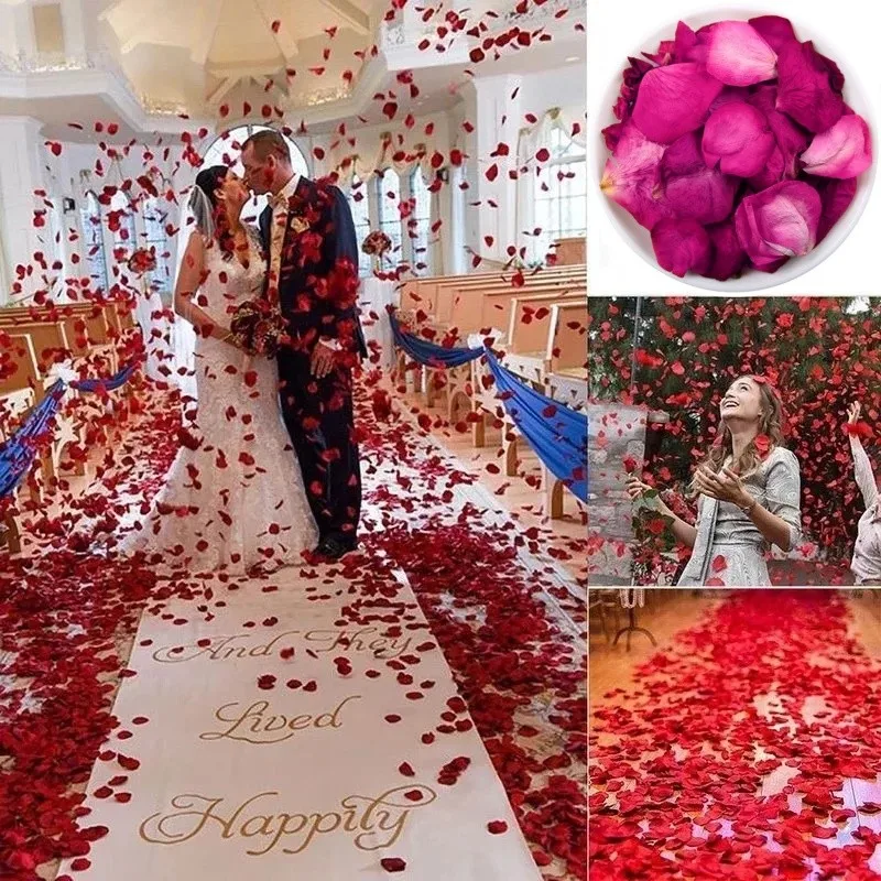 Natural Dried Rose Petals for  - Candle Making Bath review and price